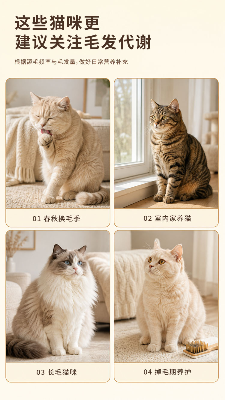 商品详情图3