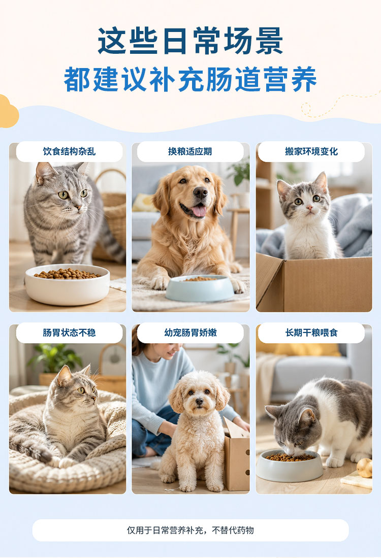 商品详情图2